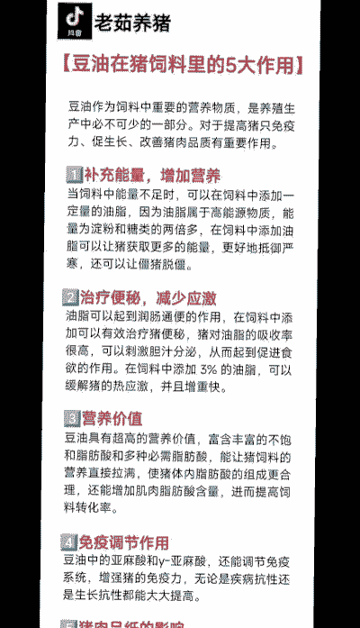 猪饲料里有些什么作用