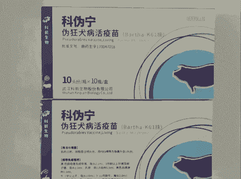 猪发烧可以打什么针