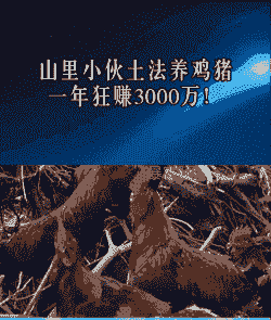 在山地农村养什么赚钱