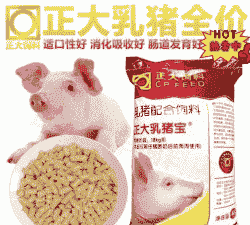 小猪断奶喂什么料最好