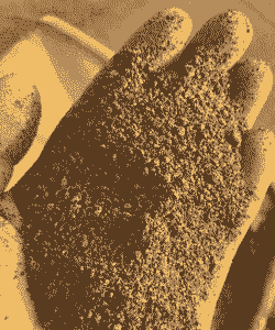 菜粕是什么意思