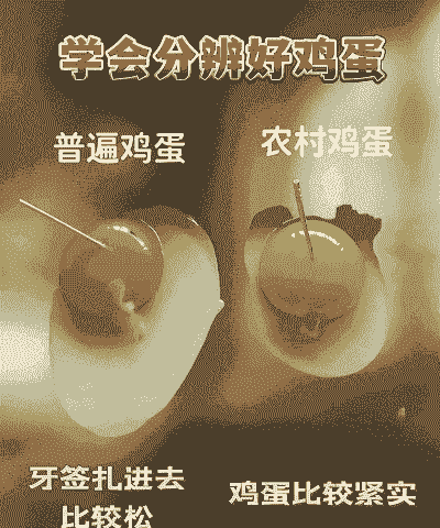 农村看蛋为什么看准