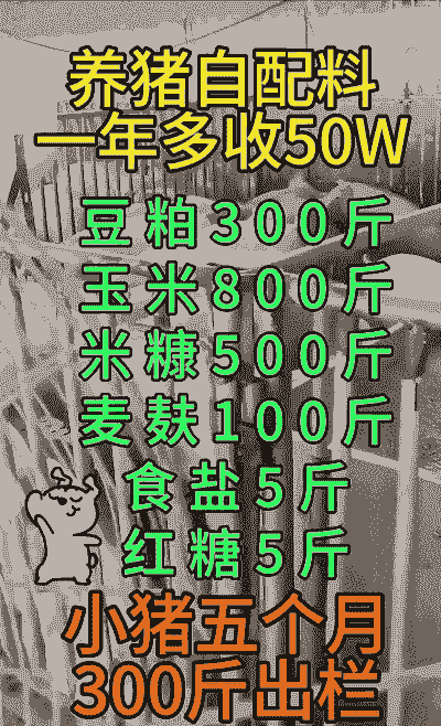 饲料里加什么猪吃得多