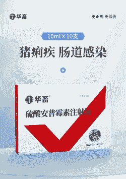 猪闹痢疾用什么药