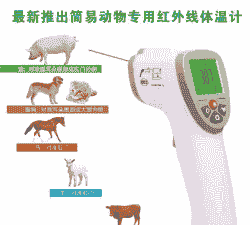 猪用什么温度计