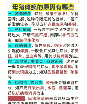 母猪瘫痪是什么引起的
