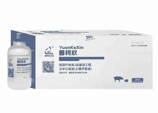 圆环病毒猪打什么针