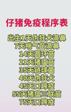 仔猪肺炎什么时候打