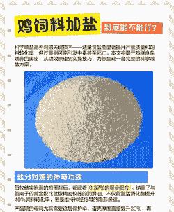 鸡饲料为什么要加盐