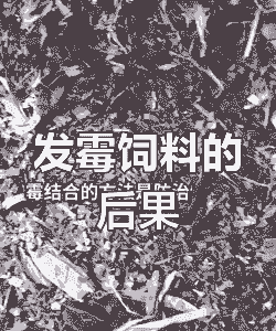 不好的饲料有什么污染