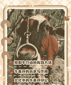 牛为什么有鼻环
