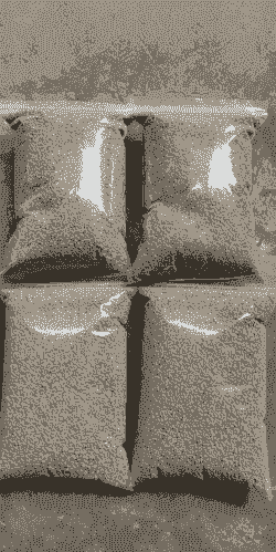 珍珠鸡喂什么饲料