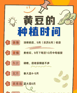 漯河黄豆什么时候播种