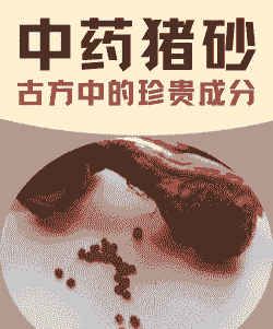 猪饲料中添加什么中药