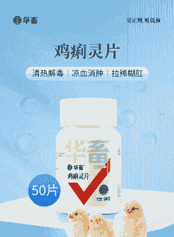 小鸡预防喂什么药好