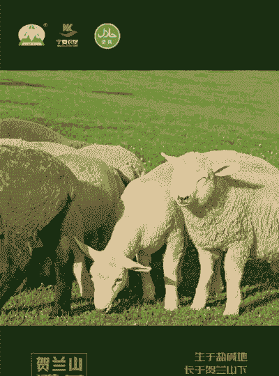 广西适合养殖什么羊