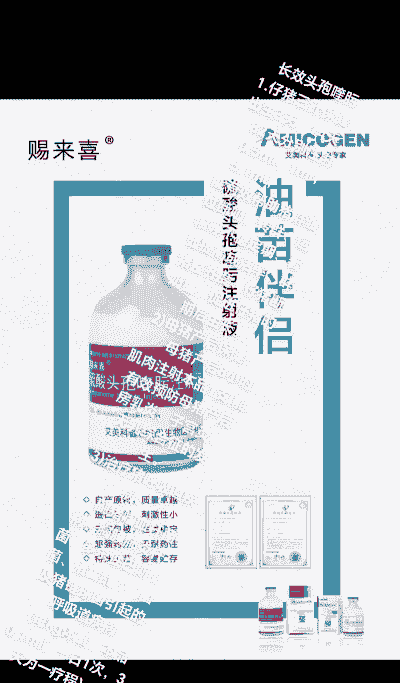 仔猪感冒用吃什么药