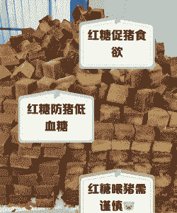 母猪什么时候吃红糖