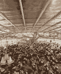 在广西养什么最赚钱