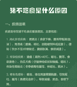 猪吃食慢是什么病