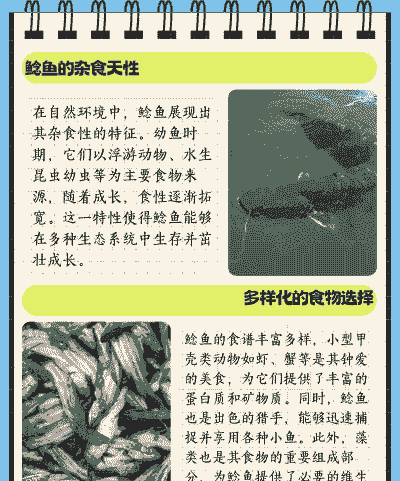 人工养殖的鲶鱼吃什么