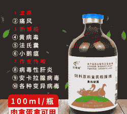 鸡传支喂什么药