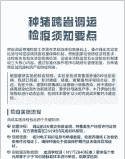 为什么猪不能跨省调运