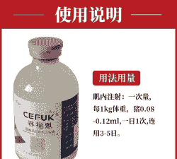 仔猪咳嗽发烧打什么针