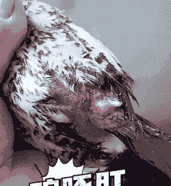 啄癖是什么意思