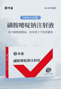 母猪反复高烧用什么药