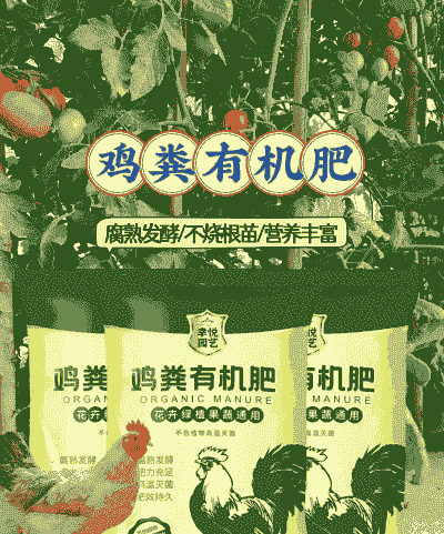 肉鸡后期催肥用什么好