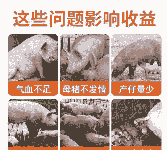 猪生长缓慢什么原因