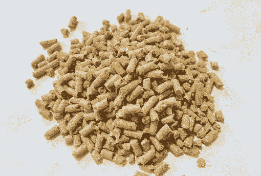 羊吃的是什么饲料