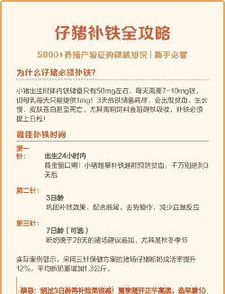 初生仔猪为什么补铁