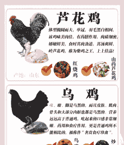 什么品种的鸡才好吃