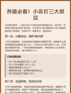 夏天养猪要注意什么