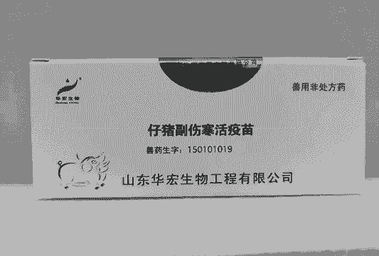 猪副伤寒打什么针