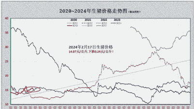 后半年生猪价格走势