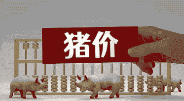 生猪是涨还是跌