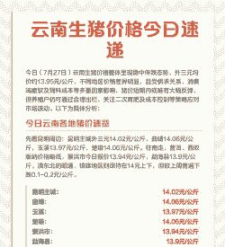 昆明生猪价格是多少