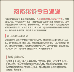 河南最新生猪价格