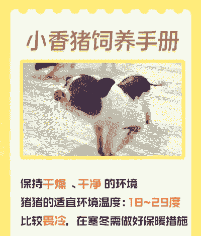 如何推广生猪寄养