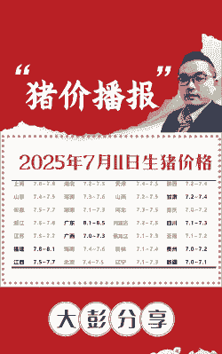 生猪耳朵最新价格