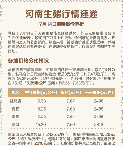 河南生猪什么行情