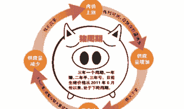 生猪养殖养猪周期