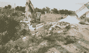 生猪为什么销毁