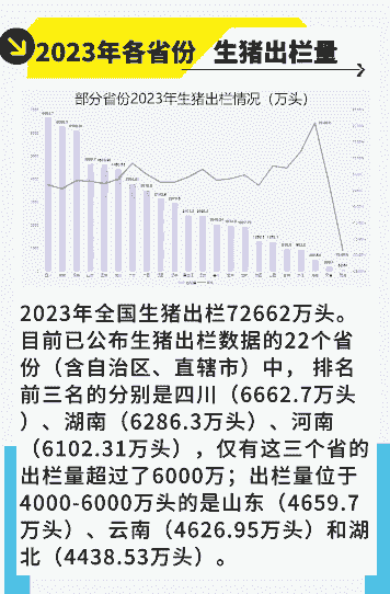 全国生猪出栏排行