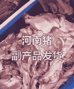 河南地区生猪品种