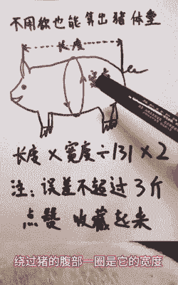 生猪怎么估计重量