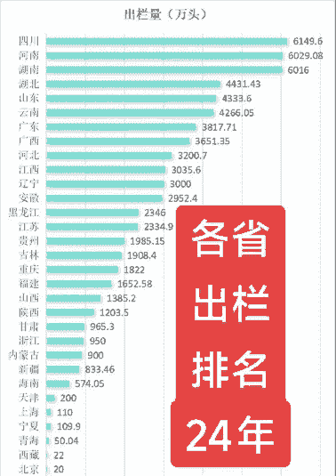 各省生猪存栏排名